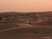 Désert du Thar  - Inde